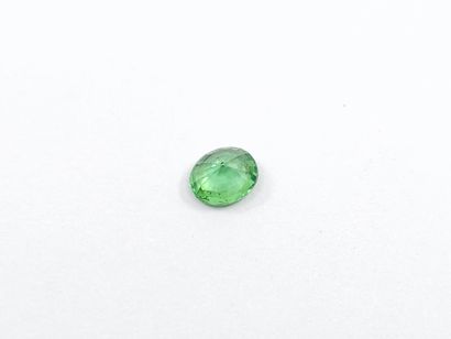 GRENAT tsavorite green de forme ovale, Tanzanie,...