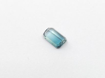 TOURMALINE bi-color green and greenish blue...