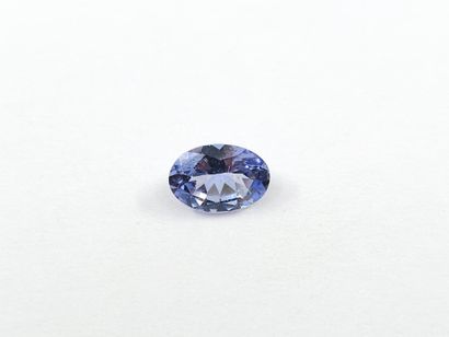 TANZANITE violet blue , ovale , Tanzanie...