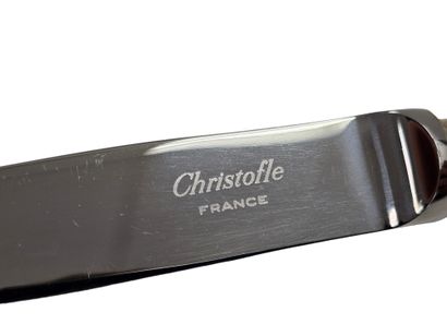 CHRISTOFLE modèle Marly
Partie de Ménagere...