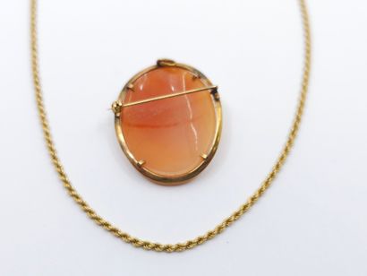 SAUTOIR in 750° yellow gold with a shell...