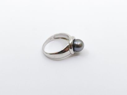 MATY
925° silver ring set with a gray pearl
Gross...