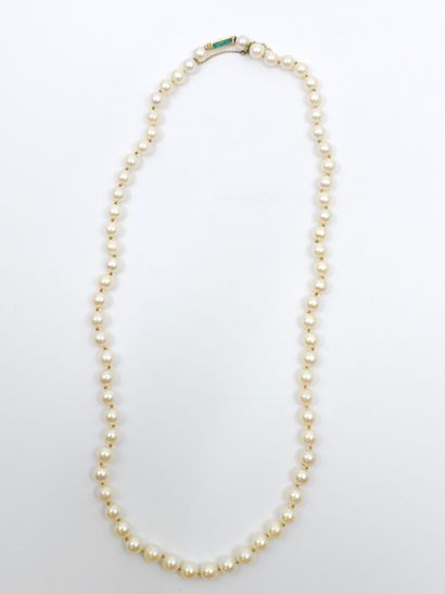 COLLIER de perles de culture choker, fermoir...