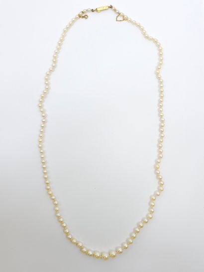 COLLAR OF FALLING PEARLS, ratchet clasp in...