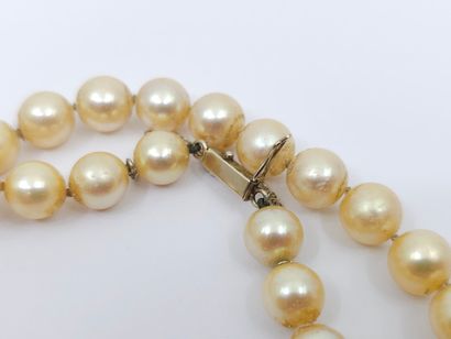 COLLIER SAUTOIR chocker de perles de cul...