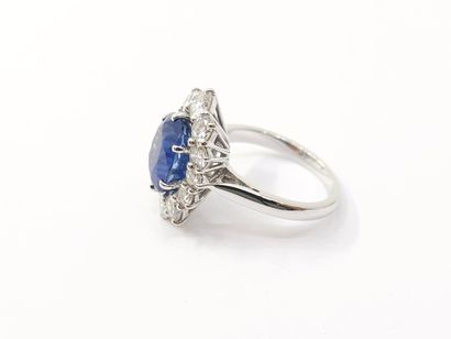 Daisy ring in 750° white gold set with a...