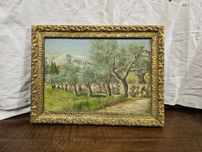 C Richard
Paysage provencal
Huile sur carton...
