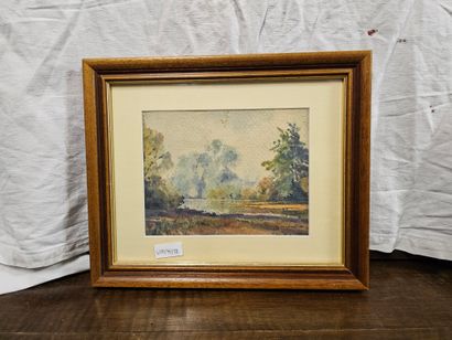 Yves de Passario
Paysage en sologne
Aquarelle...