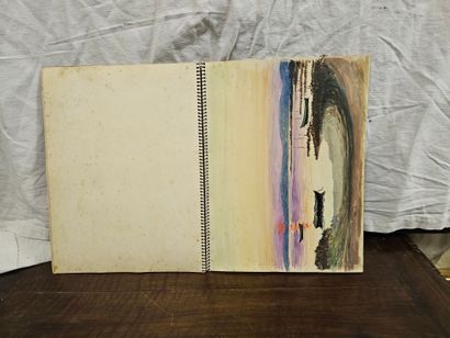 charles NICOD 
carnet aquarelles ou dess...