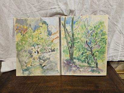 charles NICOD 
carnet aquarelles ou dess...
