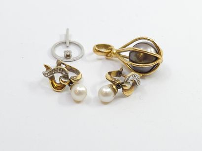 PAIR of earrings in two-tone 750° gold and...