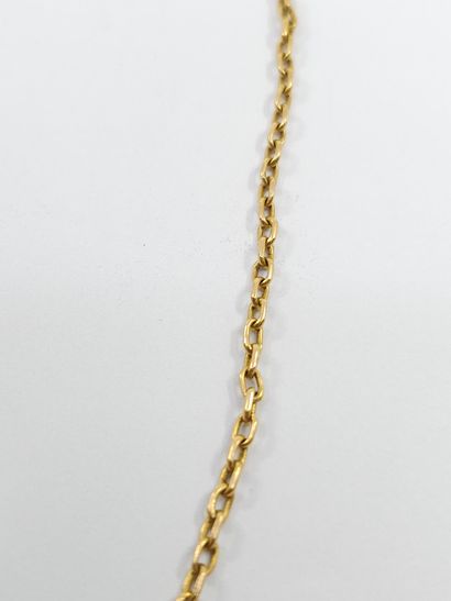 CHAIN in 750° yellow gold 
Weight : 10,02...