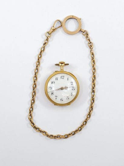 CHARMING collar watch in yellow and green...