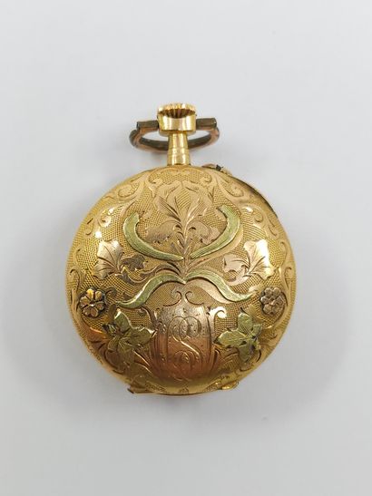 CHARMING collar watch in yellow and green...