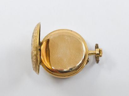 CHARMING collar watch in yellow and green...