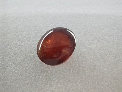 GRENAT orange spessartite Nigéria cabochon
Dim...