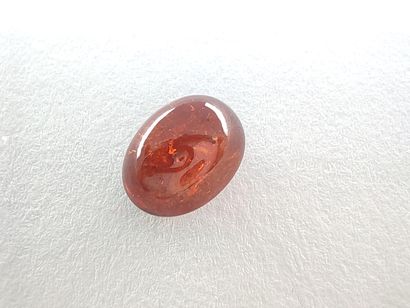 GRENAT orange spessartite Namibie cabochon
Dim...