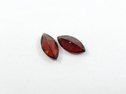 GRENAT orangish red spessartite VS Nbr 2...