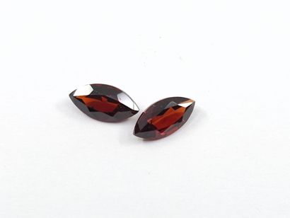 GRENAT orangish red spessartite VS Nbr 2...