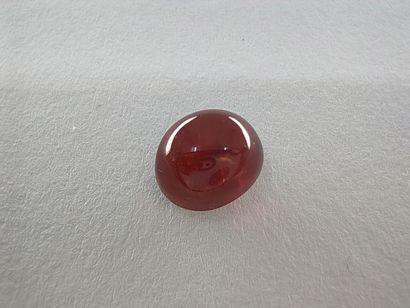 GRENAT orange spessartite Nigéria cabochon
Dim...