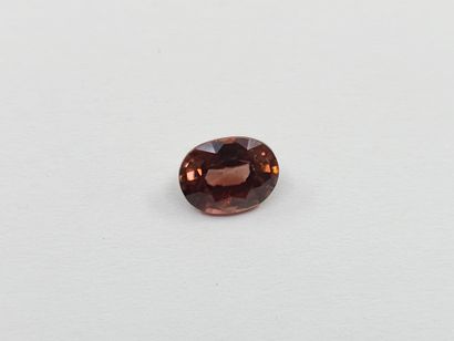 ZIRCON brillant imperial champagne VS Tanzanie...