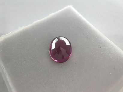 GRENAT pinkish purple rhodolite VVS Tanzanie...