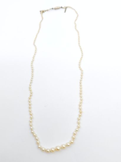 NECKLACE of probably fine pearls, ratchet...