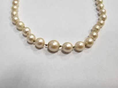 COLLIER de perles de culture, fermoir en...