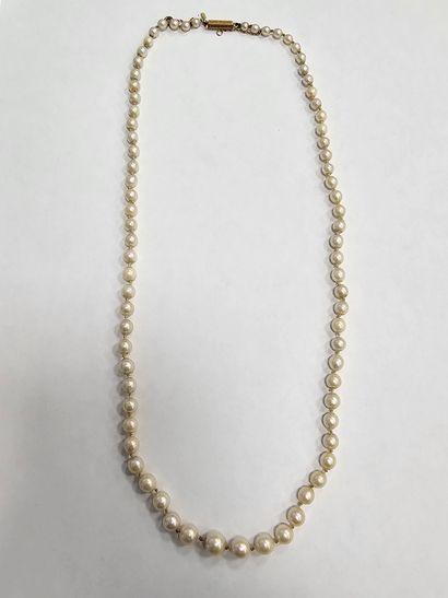 COLLIER de perles de culture, fermoir en...