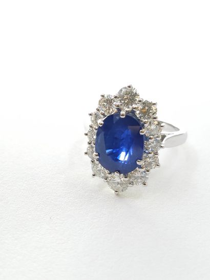 Daisy ring in 750° white gold set with a...