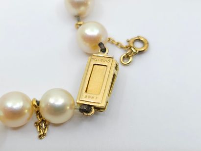 MELLERIO
COLLAR of 57 choker pearls, clasp...