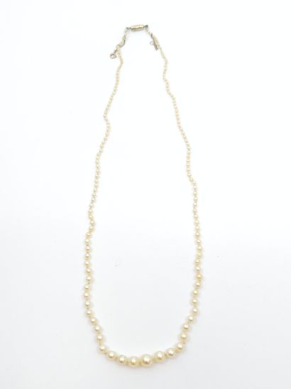 NECKLACE of probably fine pearls, ratchet...