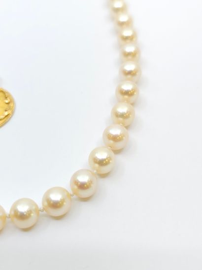 MELLERIO
COLLAR of 57 choker pearls, clasp...