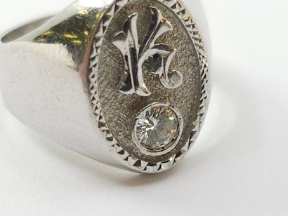 CHEVALIERE in 750° white gold set with a...