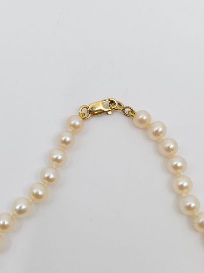 COLLIER de perles de culture, fermoir en...