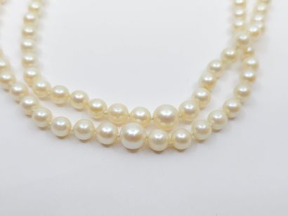 COLLIER double rang de perles de culture,...