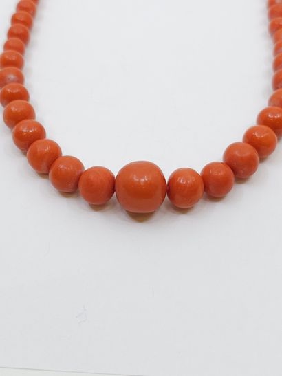 COLLIER corail en chute, fermoir métal