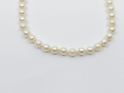COLLIER DE PERLES CHOKER, fermoir en or jaune...