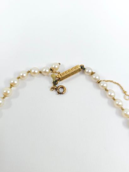 COLLIER choker de perles de culture, fermoir...
