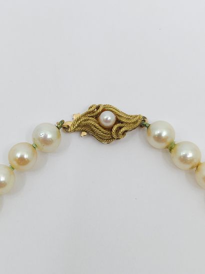 COLLIER de perles de culture chocker, fermoir...