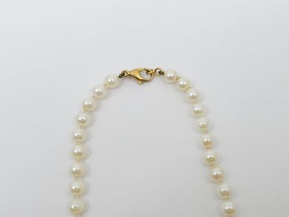COLLIER DE PERLES CHOKER, fermoir en or jaune...