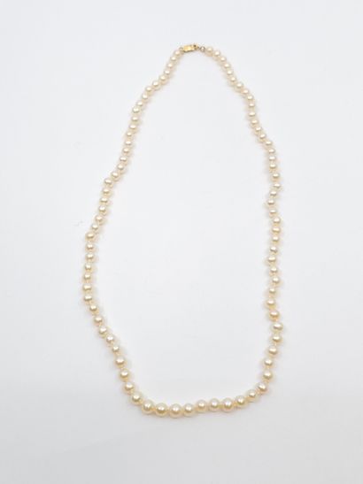 COLLIER de perles de culture, fermoir en...