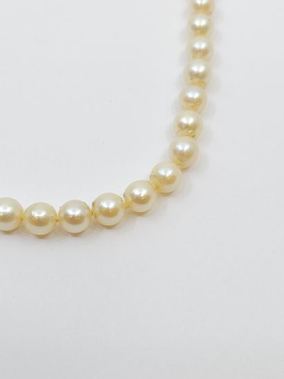 COLLIER de perles de culture chocker, fermoir...