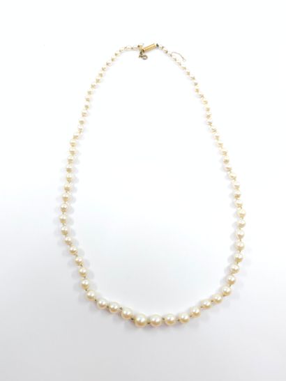 COLLIER choker de perles de culture, fermoir...