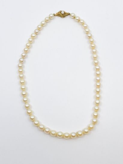 COLLIER de perles de culture chocker, fermoir...