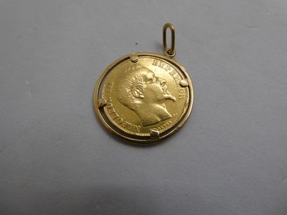 1 Pendentif Or 18kt 7,88g