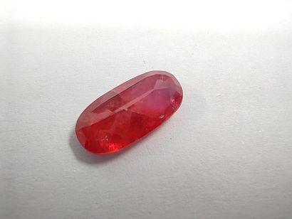 SAPHIR reddish orange 	ovale, Mozambique	,...