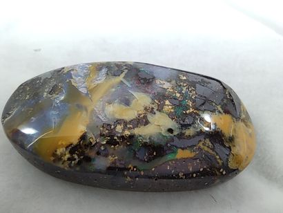 OPAL koriot nut boulder Queensland Australia...