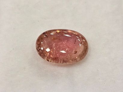 TOURMALINE pink , cabochon , Mozambique ,...