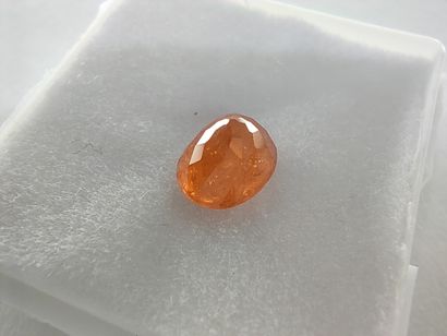 GRENAT orange spessartite Namibie ovale
Dim...